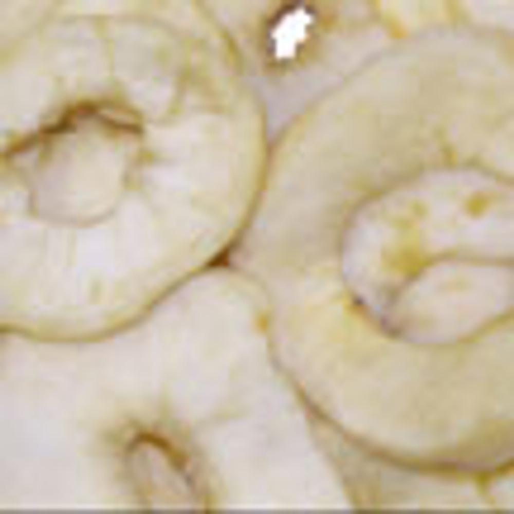 How to Make Oven Dried Apple Rings - Mom Foodie