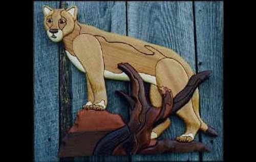 COUGAR INTARSIA PATTERN