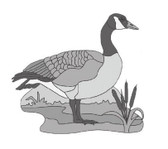 STANDING GOOSE INTARSIA PATTERN