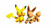 Mega Construx - Pokémon Building Set - Pokémon Center with Eevee and Pikachu Mega Construx - Pokémon Building Set - Pokémon Center with Eevee and Pikachu