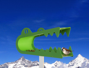 Ali Gator - Green Ali Gator - Green