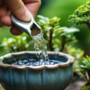 Bonsai Tree Care: Expert Tips for Growing & Maintaining Healthy Trees