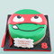 Ninja Turtle Cake