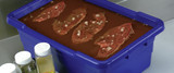 Six Additional Uses for our ToteAll 2000 Molded Poly Boxes