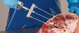 Curing for Meat Preservation
