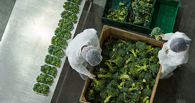 food processing