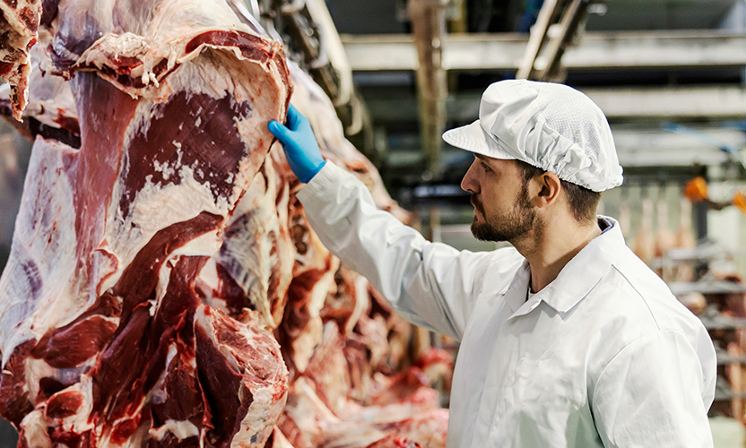 What Kind of Quality Control Does a Meat Processing Plant Need?