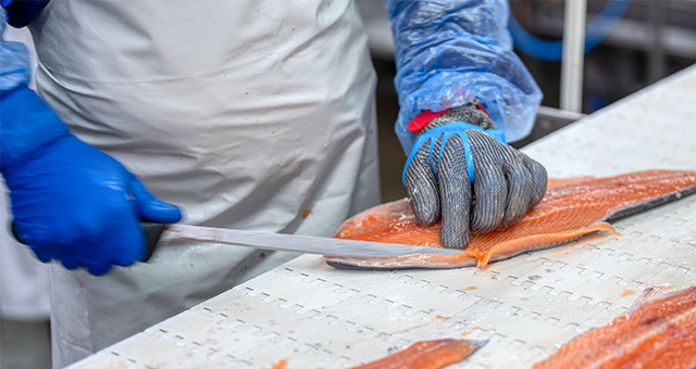 seafood supplies