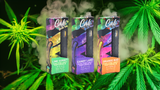 Experience the Power of Cali Reserve 3.5g Live Resin Vape