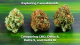 Exploring Cannabinoids: Comparing CBD, Delta 8, Delta 9, and Delta 10