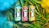 Chapo by Extrax Delta 10 Live Resin: A Potent 3g Disposable Vape