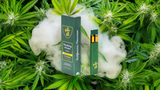 Hidden Hills D11 + D9 + THC-P Live Resin: A Premium 2g Disposable Vape Experience