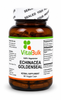 Echinacea/Goldenseal - 90 Count Bottle