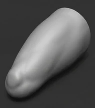 The Digital Shift: Why 3D Scanning is the New Standard for O&P Clinics