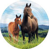 Horse and Pony 7 inch Plates