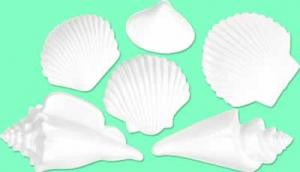 Luau White Plastic Sea Shells