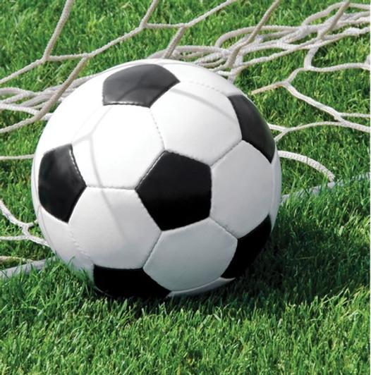 Sports Fanatic Soccer Luncheon Napkins