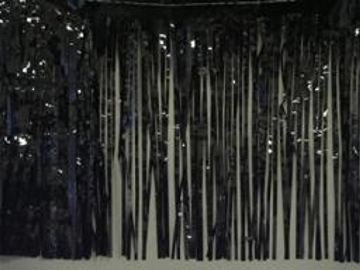 Black Metallic Fringe 20 Feet Long x 15 in