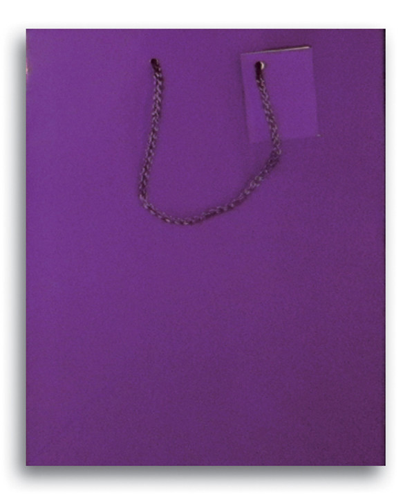 Small Grape Laminated Gloss Handle Bag