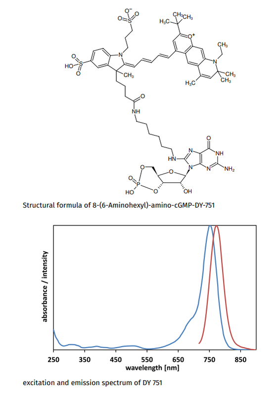 8-(6-Aminohexyl)-amino-cGMP-DY-751