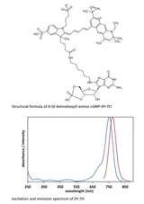 8-(6-Aminohexyl)-amino-cGMP-DY-751
