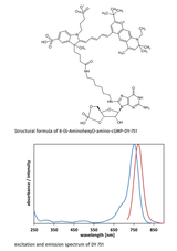 8-(6-Aminohexyl)-amino-cGMP-DY-751