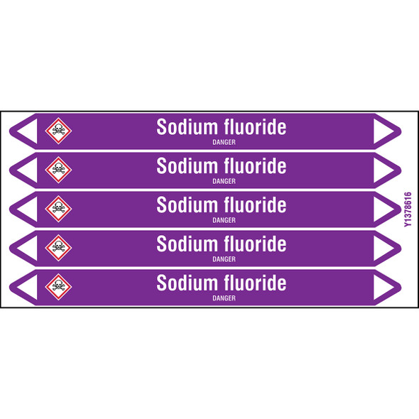 Individual Pipe Markers on a Card with die-cut arrowheads, with pictograms - Acids & Alkalis - Sodium fluoride