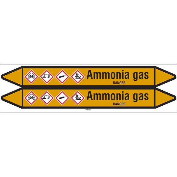 Individual Pipe Markers on a Card with die-cut arrowheads, with pictograms - Gas - Ammonia gas