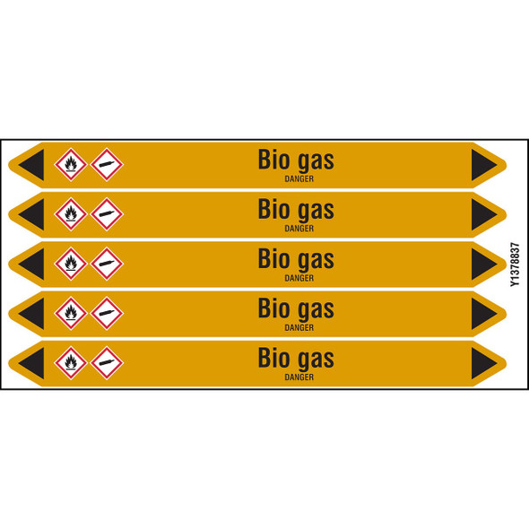 Individual Pipe Markers on a Card with die-cut arrowheads, with pictograms - Gas - Bio gas