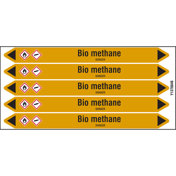 Individual Pipe Markers on a Card with die-cut arrowheads, with pictograms - Gas - Bio methane