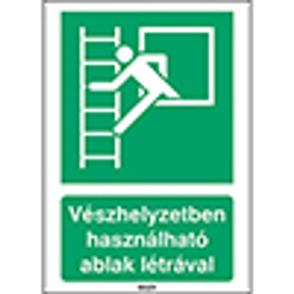 ISO Safety Sign - Emergency window with escape ladder