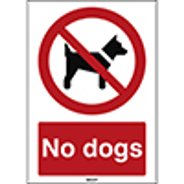ISO Safety Sign - No dogs