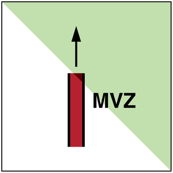 Main vertical zone - IMO