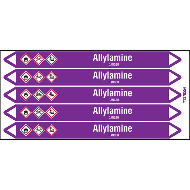 Individual Pipe Markers on a Card with die-cut arrowheads, with pictograms - Acids & Alkalis - Allylamine