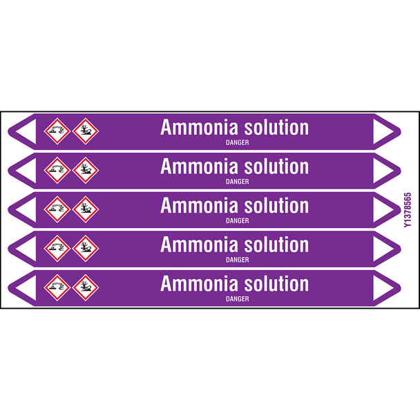 Individual Pipe Markers on a Card with die-cut arrowheads, with pictograms - Acids & Alkalis - Ammonia solution