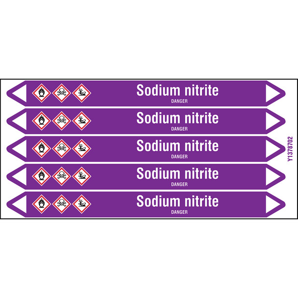 Individual Pipe Markers on a Card with die-cut arrowheads, with pictograms - Acids & Alkalis - Sodium nitrite