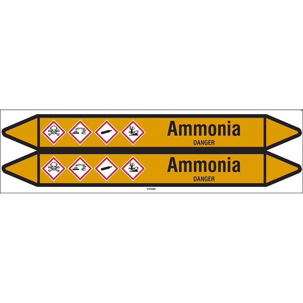 Individual Pipe Markers on a Card with die-cut arrowheads, with pictograms - Gas - Ammonia