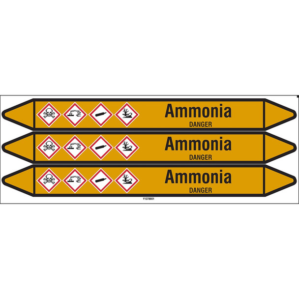Individual Pipe Markers on a Card with die-cut arrowheads, with pictograms - Gas - Ammonia