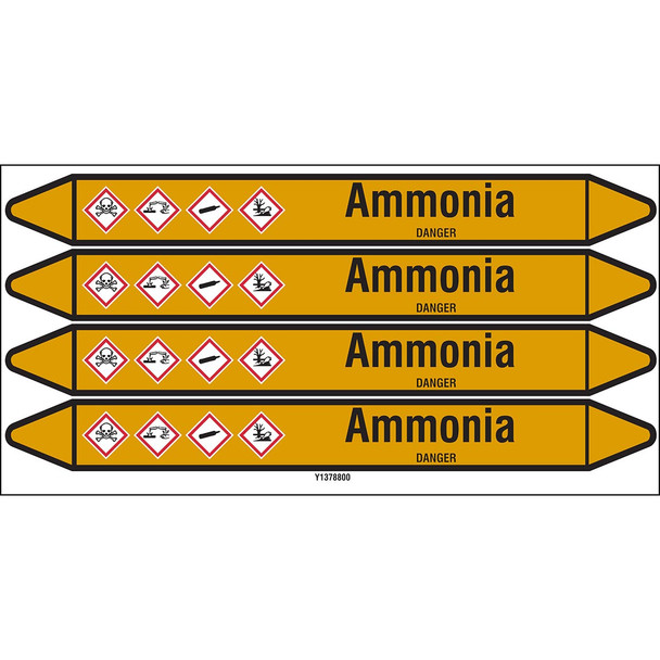 Individual Pipe Markers on a Card with die-cut arrowheads, with pictograms - Gas - Ammonia