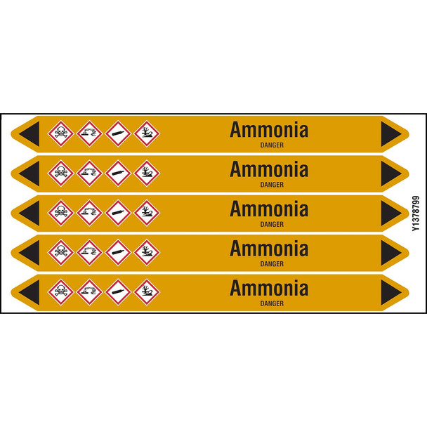 Individual Pipe Markers on a Card with die-cut arrowheads, with pictograms - Gas - Ammonia