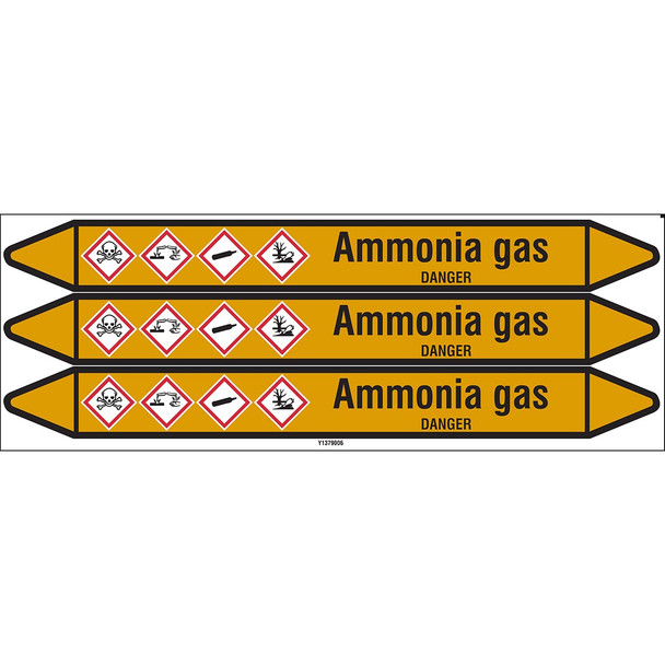 Individual Pipe Markers on a Card with die-cut arrowheads, with pictograms - Gas - Ammonia gas