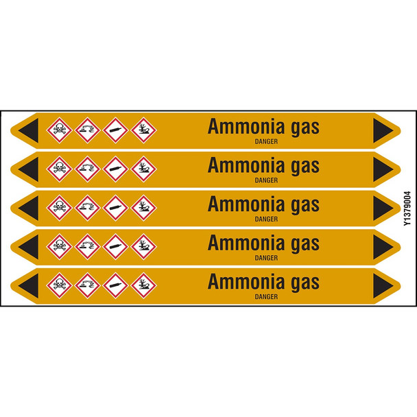 Individual Pipe Markers on a Card with die-cut arrowheads, with pictograms - Gas - Ammonia gas