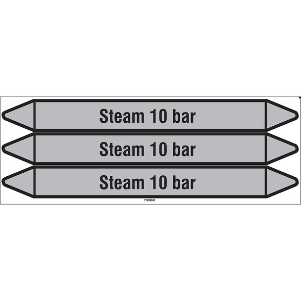 Individual Pipe Markers on a Card with die-cut arrowheads, without pictograms - Steam - Steam 10 bar