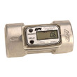 GPI A109GMA200NA2 Commercial Grade Fuel Flow Meter (30 - 300 GPM) GPI A109GMA200NA2 Commercial Grade Fuel Flow Meter (30 - 300 GPM)