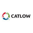 Catlow C86R Repair Kit for C860 3/4" Breakaway