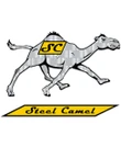 Steel Camel SCSK UST Sump Kit, Includes (1) Quart Steel Camel, (2) 10 Oz Aquablokker, (2) Camel ANB