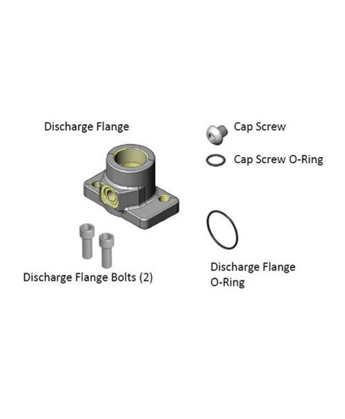 Fill-Rite KIT300OT Replacement Straight Discharge Flange Kit for 300 Series Pumps
