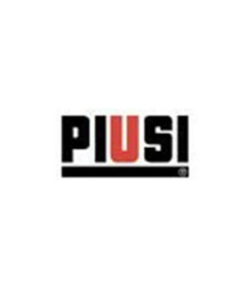 Piusi R20280000 MA180 Spare Manifold NPT Kit