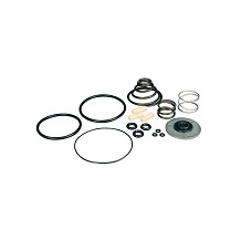 Conventional Diaphragm Pump Repair Kits