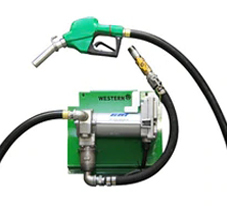 Western Global Fuel Pump Kits